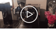 DeLonghi Reviews