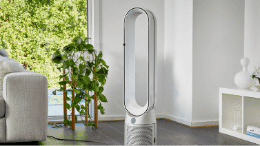 Dyson | The Good Guys