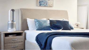 Dyson Air Purifier Range | The Good Guys