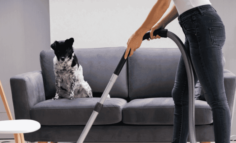 Woman vacuums whilst dog watches on couch