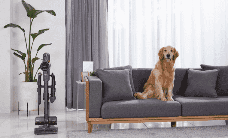 A dog sitting on a couch with the LG Handstick Vacuum 