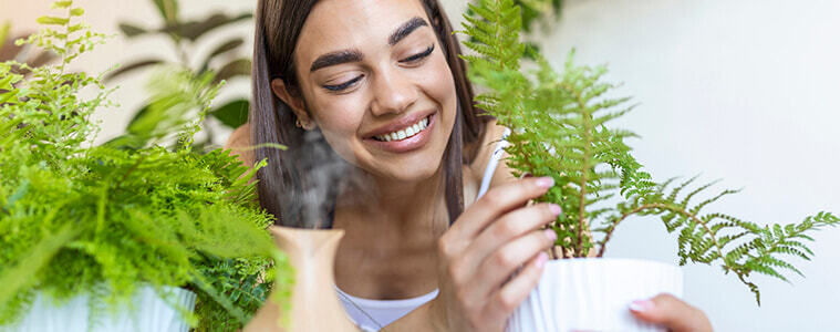 Woman caring for plants next to a steam aroma oil diffuser on the table at home