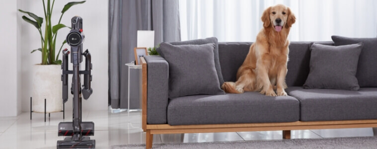 A dog sitting on a couch with the LG Handstick Vacuum