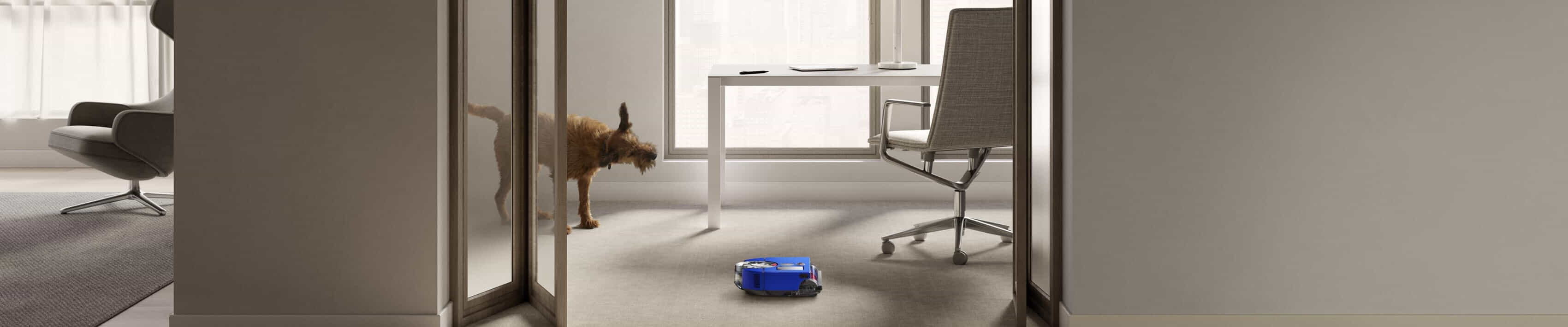 Dyson Robot Vacuum