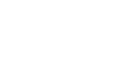 LG Logo in White