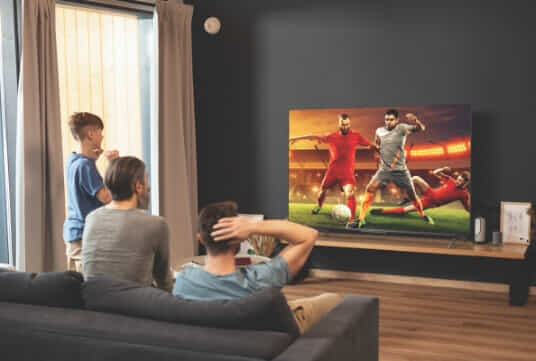 Men watching sports on their TCL TV. 