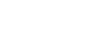 White Hisense logo