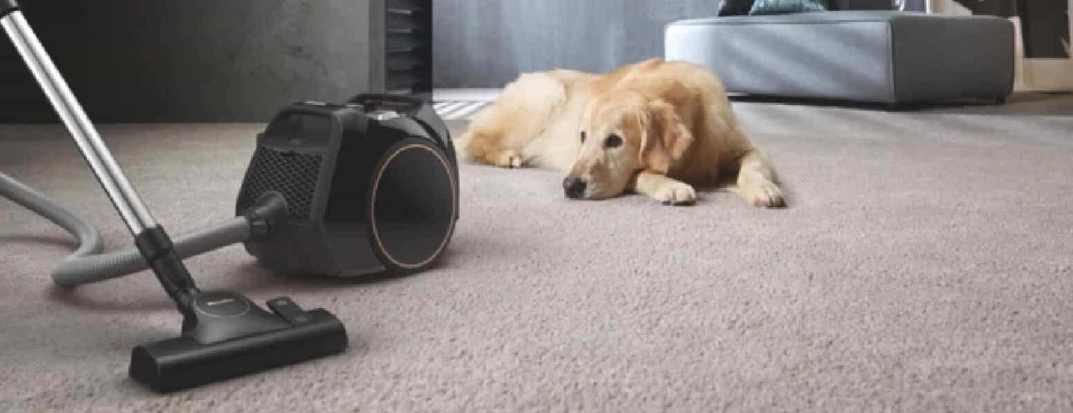 Miele pet vacuum next to dog