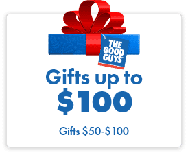 Gifts upto $100 | The Good Guys