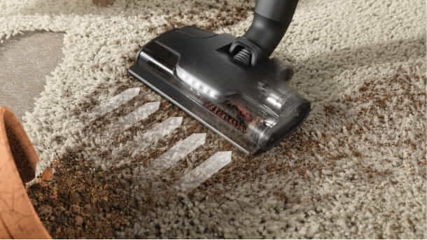 Electrolux vacuum cleaning carpet.