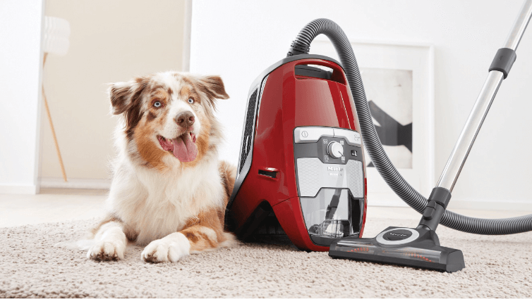 A dog lying next to a miele barrel vacuum