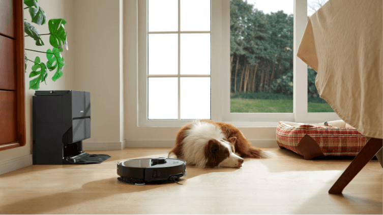 Dog sleeping whilst robot vacuum works around him.