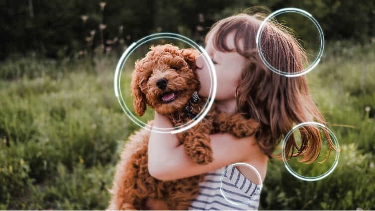 Close up pic of girl and dog in perfect clarity with Samsung TVs 4K upscaling.