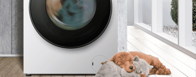 Hisense Dryer doing a gentle load to keep clothes soft with puppy and kitten sitting beside. 