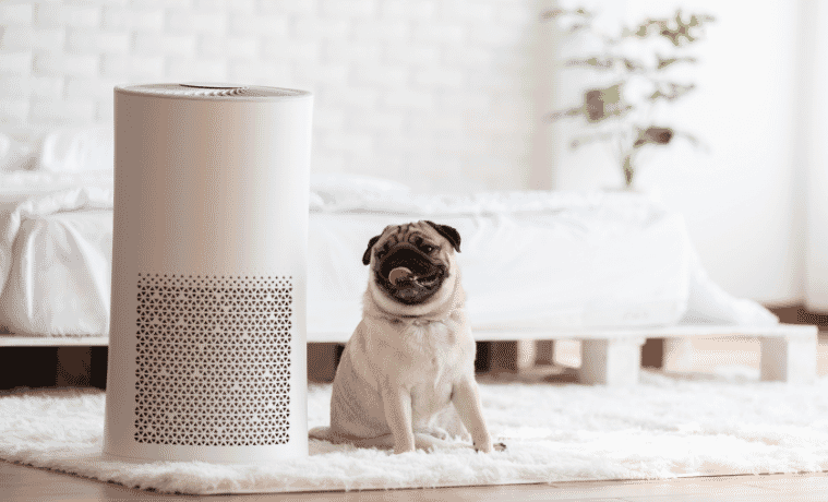 A pug sits next to an air purifier in a bedroom.