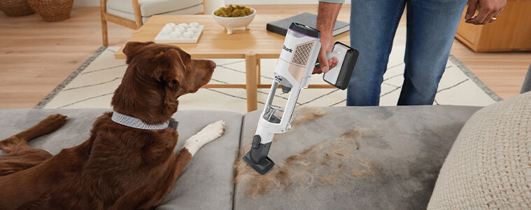 A shark vacuum being used to clean dog hair on a couch 