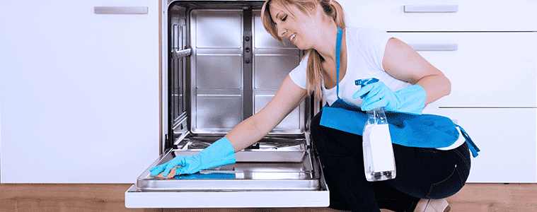 Woman uses cleaning spray and a cloth to clean the inside door of her dishwasher.