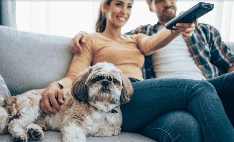 Young couple watches TV at home on the couch with their cute shih tzu dog.