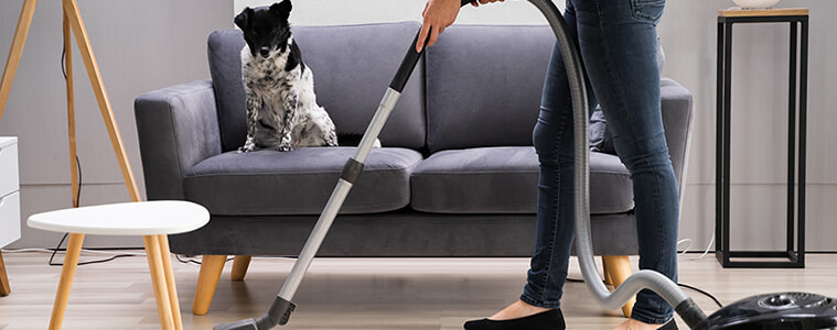 woman vacuuming her carpet while her dog sits on the couch and watches 