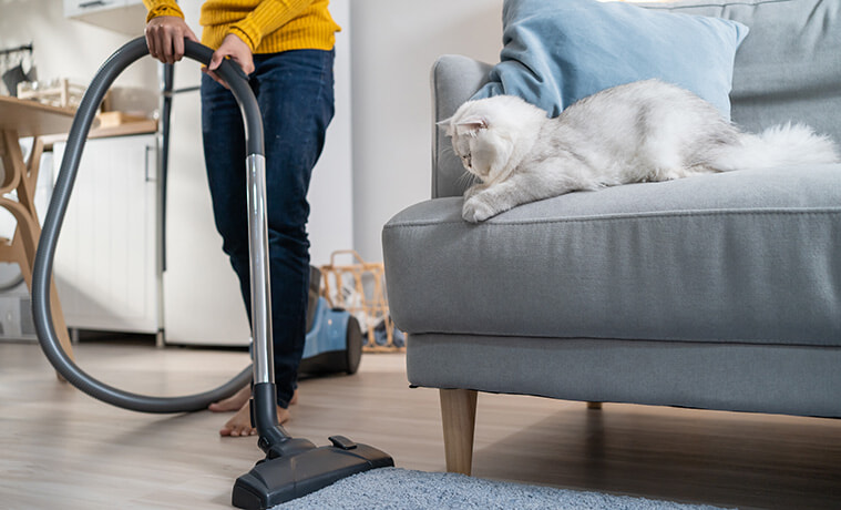 woman vacuuming her carpet while her cat watches 