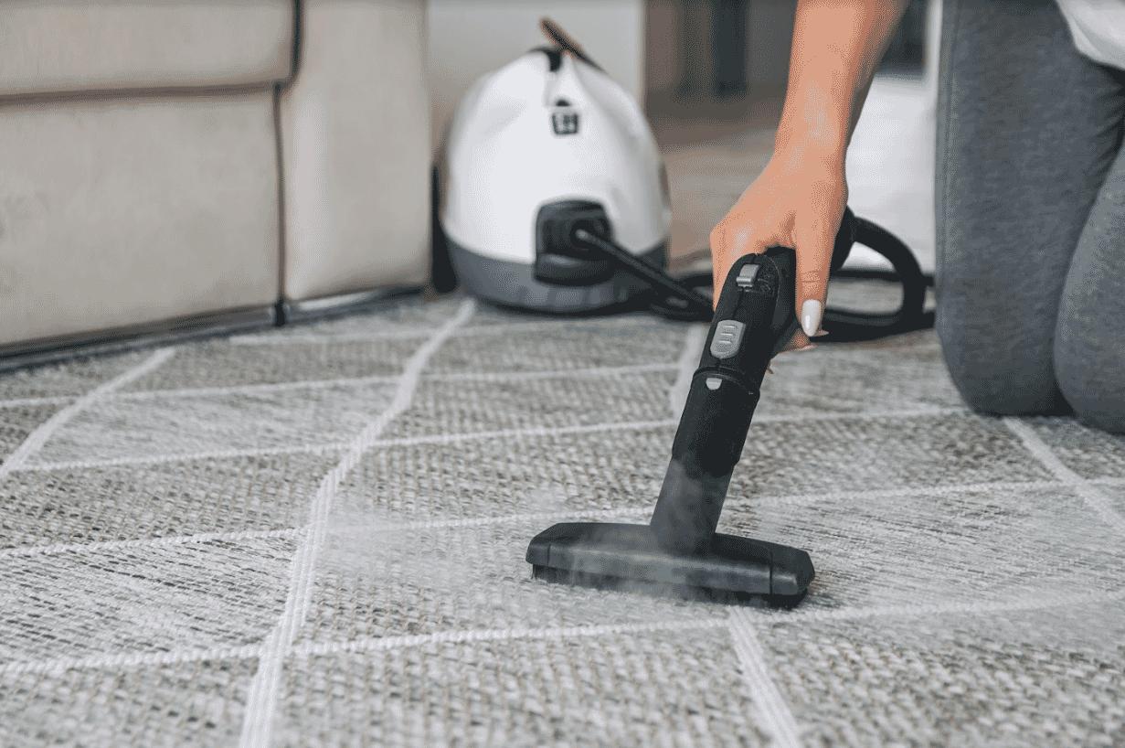 Someone using a steam mop on their carpet 