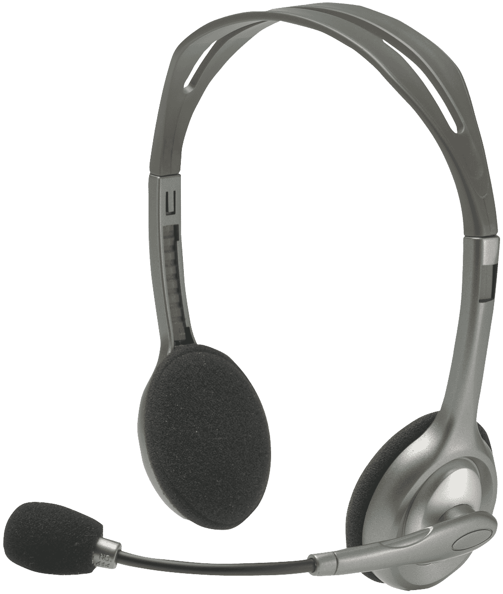 Logitech H110 Stereo Headset 981000459