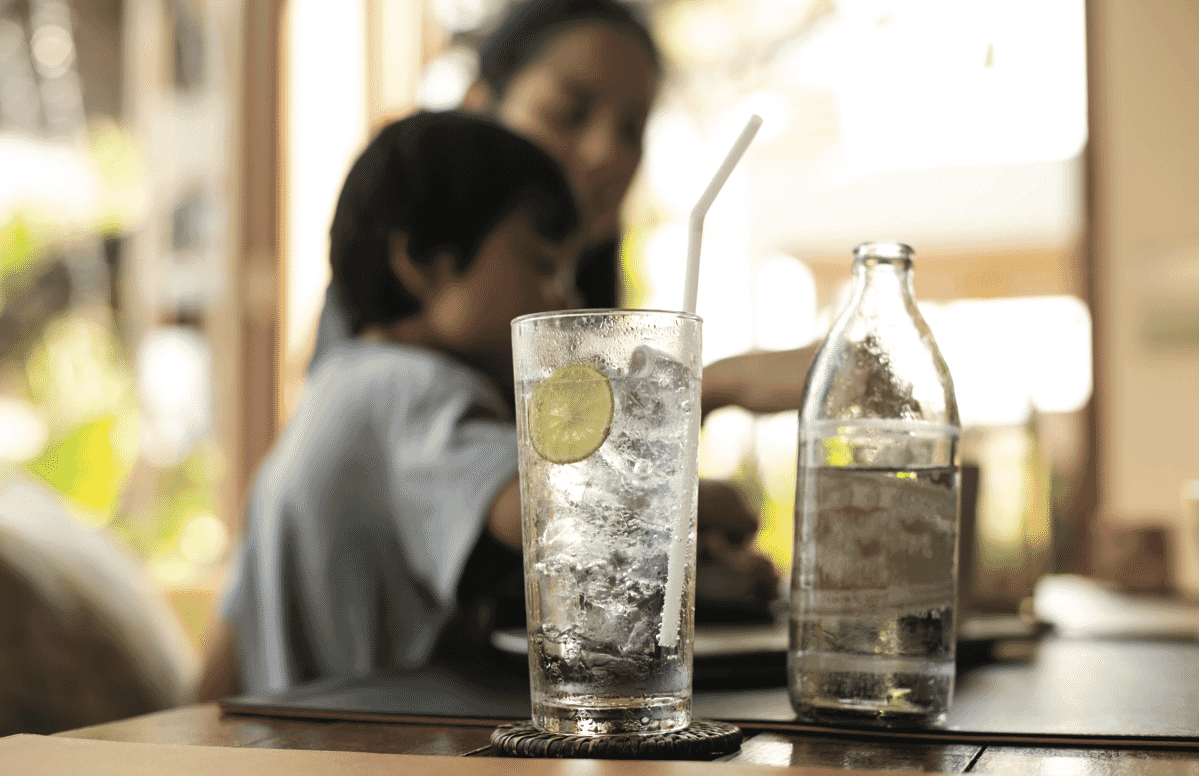 Oliveri Inline Water Filtration System