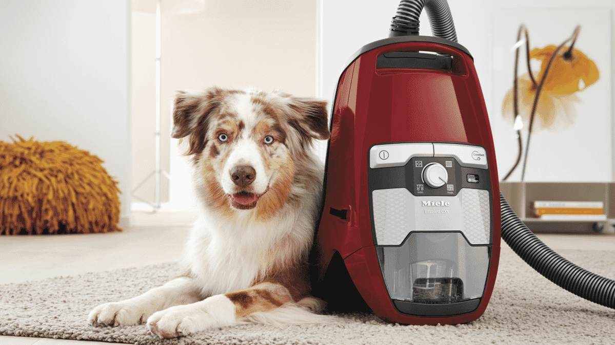 Miele 10502220 Blizzard CX1 Cat & Dog Bagless Vacuum at The Good Guys