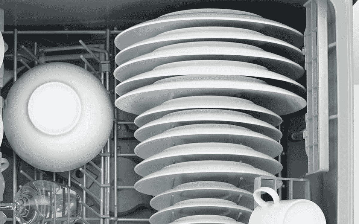 Fisher & Paykel DD60SI9 60cm Single Dishwasher at The Good Guys