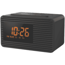 PanasonicDual Alarm Clock Radio50072095
