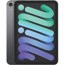AppleiPad mini (6th Gen) 256GB WiFi+Cell Space Grey50077872