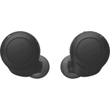 SonyTruly Wireless Earbuds50078247