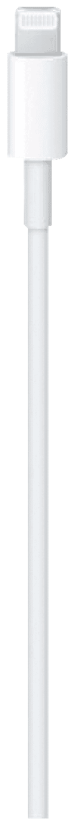 Apple USB-C to Lightning Cable (1m)