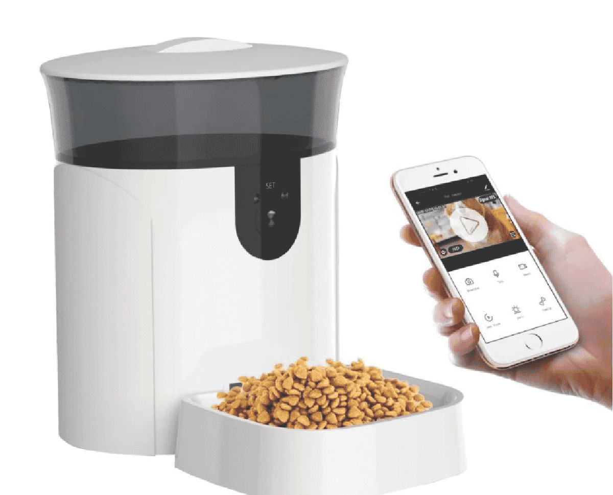 blitz auto dog feeder