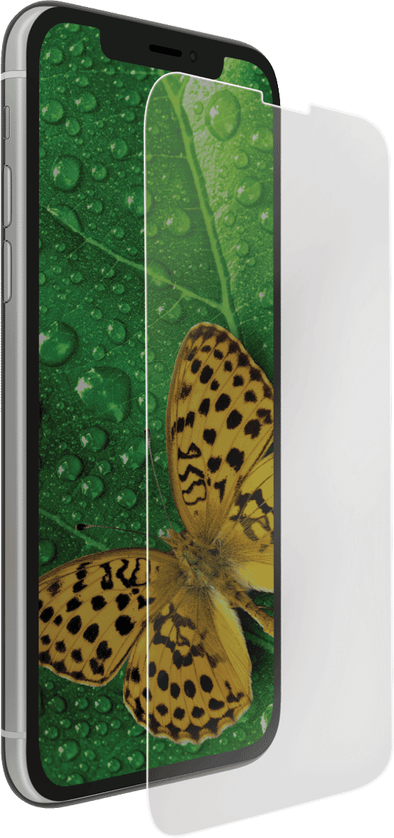 STM Ecoglass Screen Protector iPhone 11 5783480