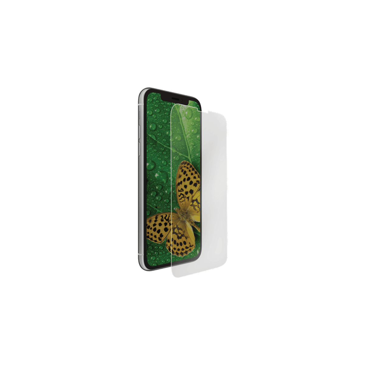 STM Ecoglass Screen Protector iPhone 11 5783480