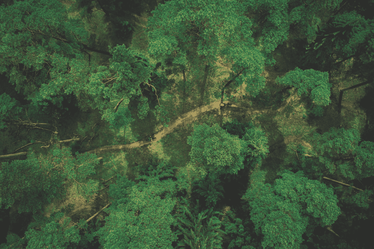 Milo Action Communicator - Equinox Black