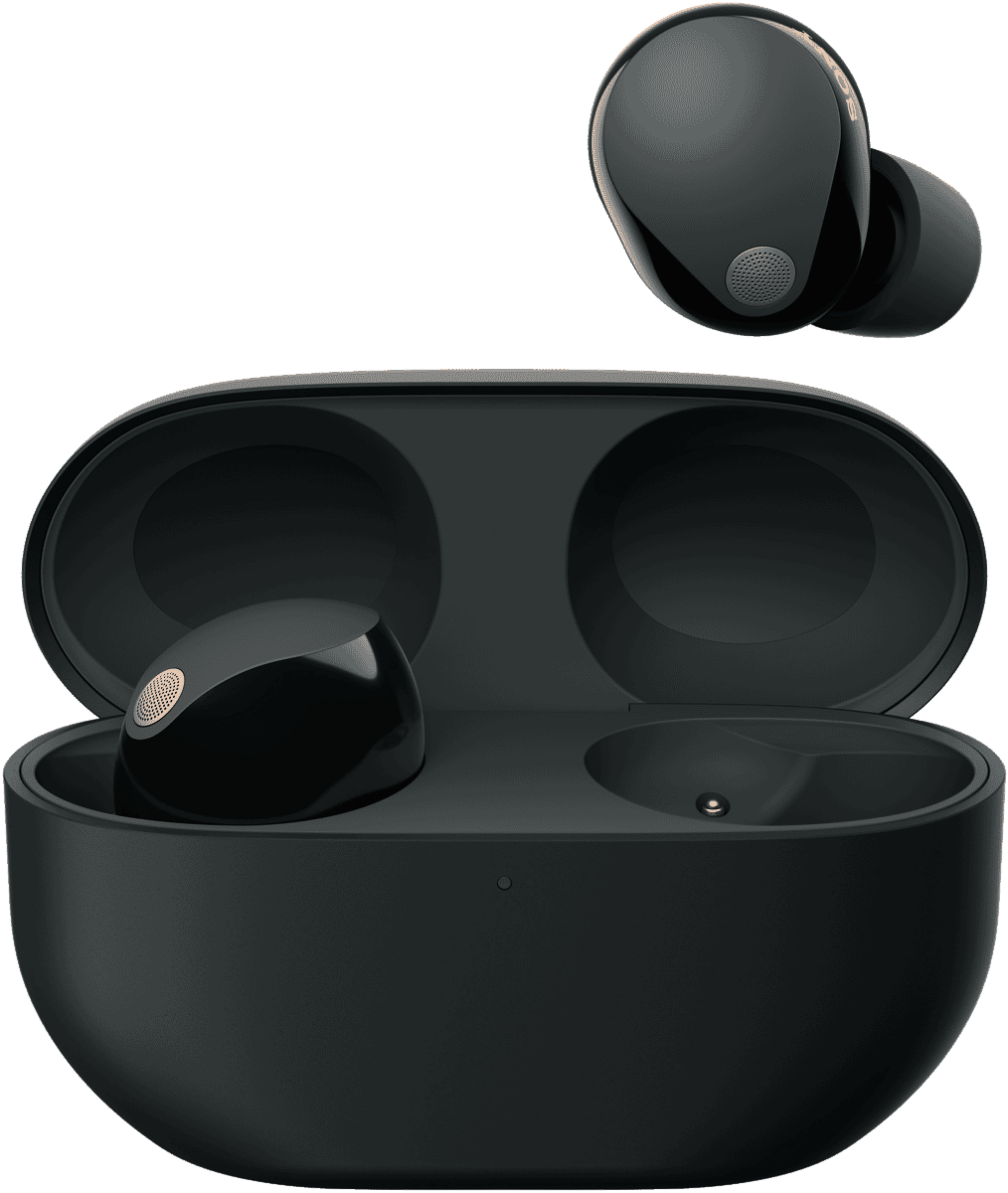 Sony Premium Noise Cancelling Earbuds
