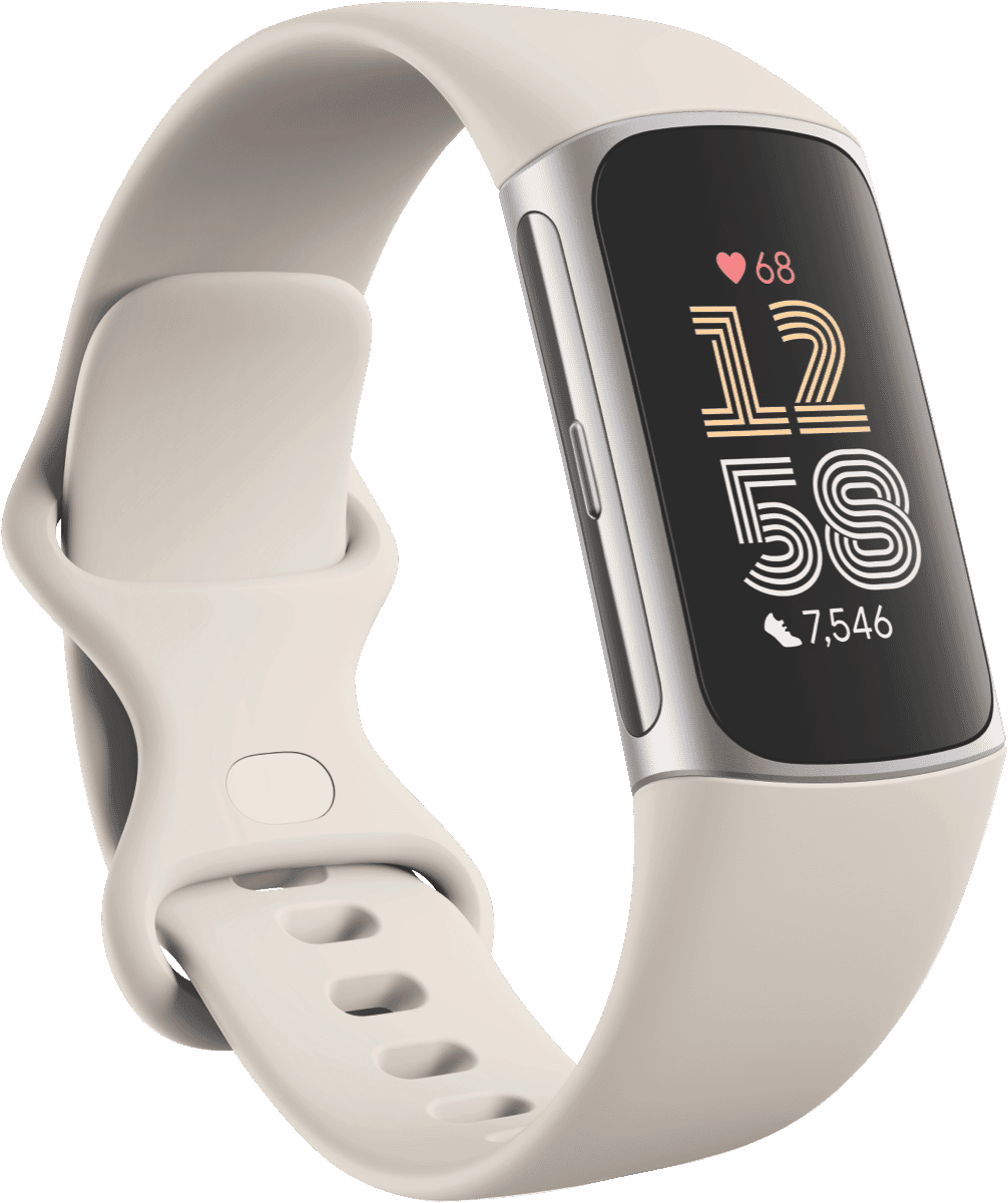 CHARGE6-SIL(GA05185-AP)　at　The　Good　Charge　Fitbit　Aluminium　Porcelain/Silver　Guys