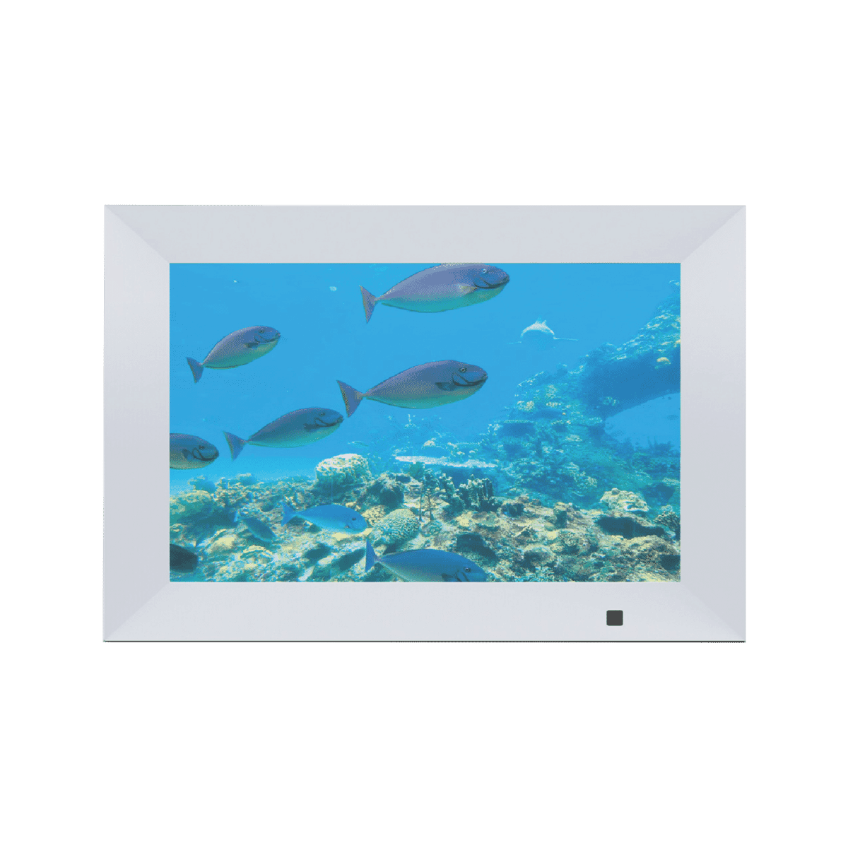 Qpix 10.1 Photo frame PF1006